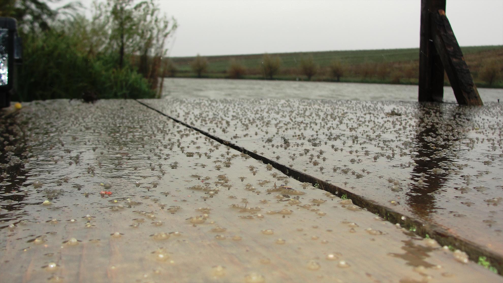 Magura 9 25 - 26 octombrie 2014 - E de bine:)